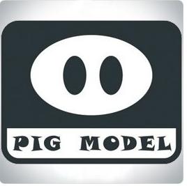 Pig Model