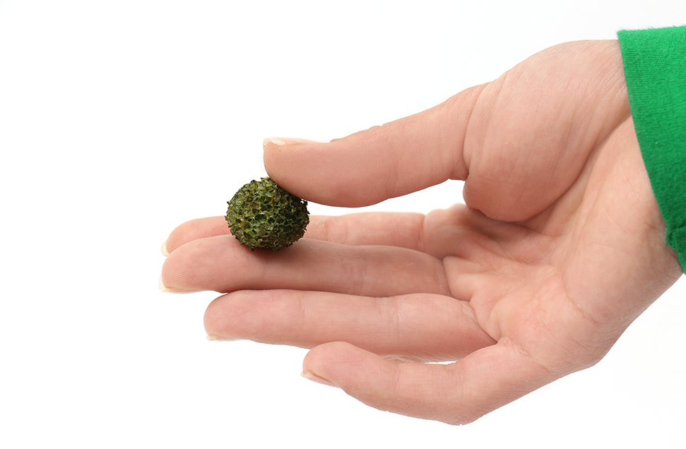 030shd002 Поролоновые шарики темно-зеленые. 20шт. 15-20мм.