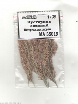 35019 Кустарник осенний