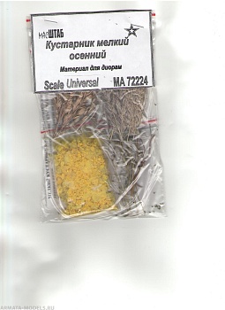 72224 Кустарник мелкий осенний