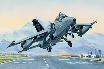 81741 Самолет AMX Ground Attack Aircraft
